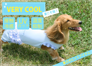 接触冷感ヴェリークール