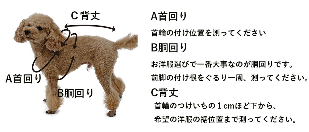 犬服サイズの測り方 | 犬服通販のドッグピース