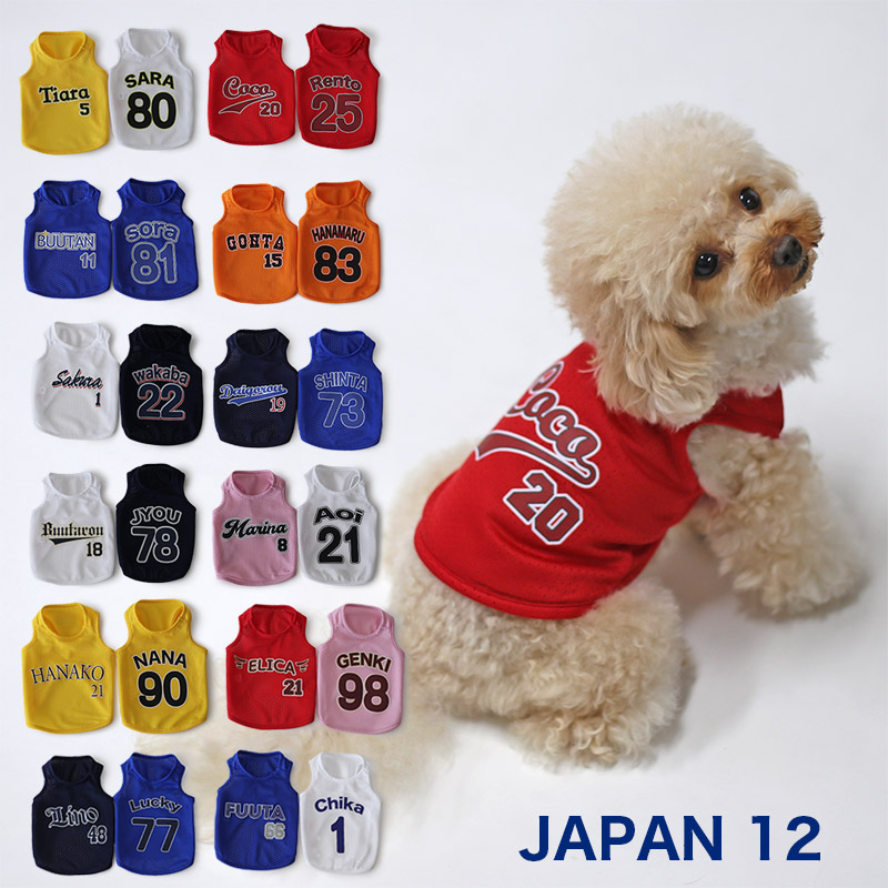 ジャパン１２
