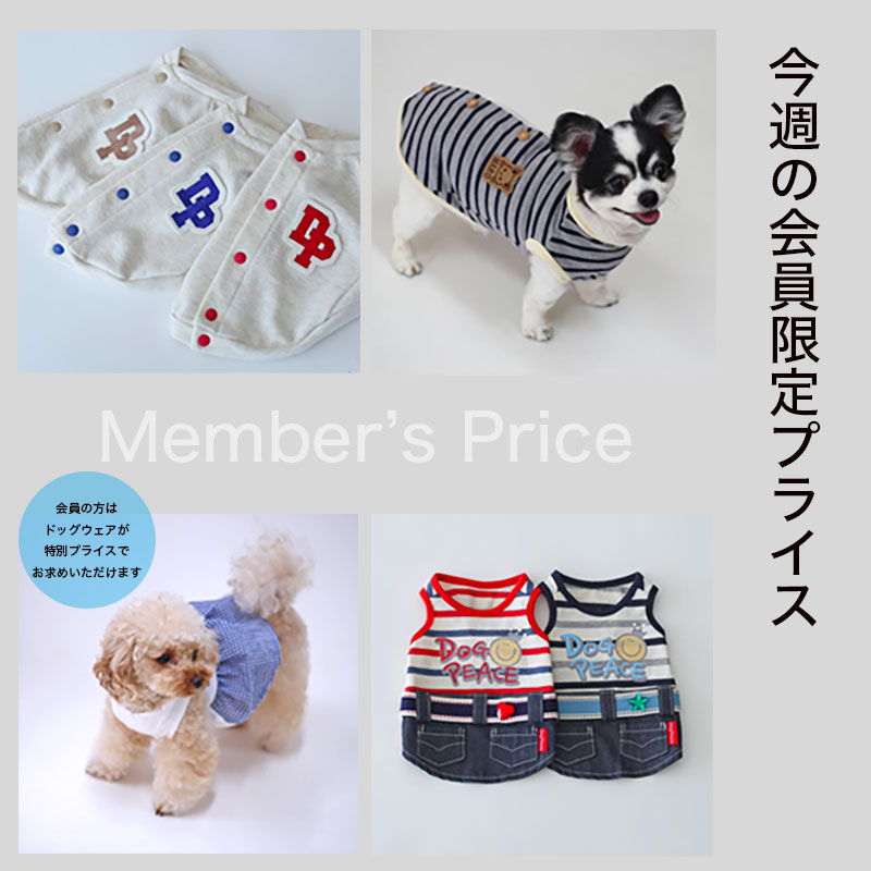 犬服♡のんき様専用 ストア 犬服のんき様専用 のんき様専用 犬服