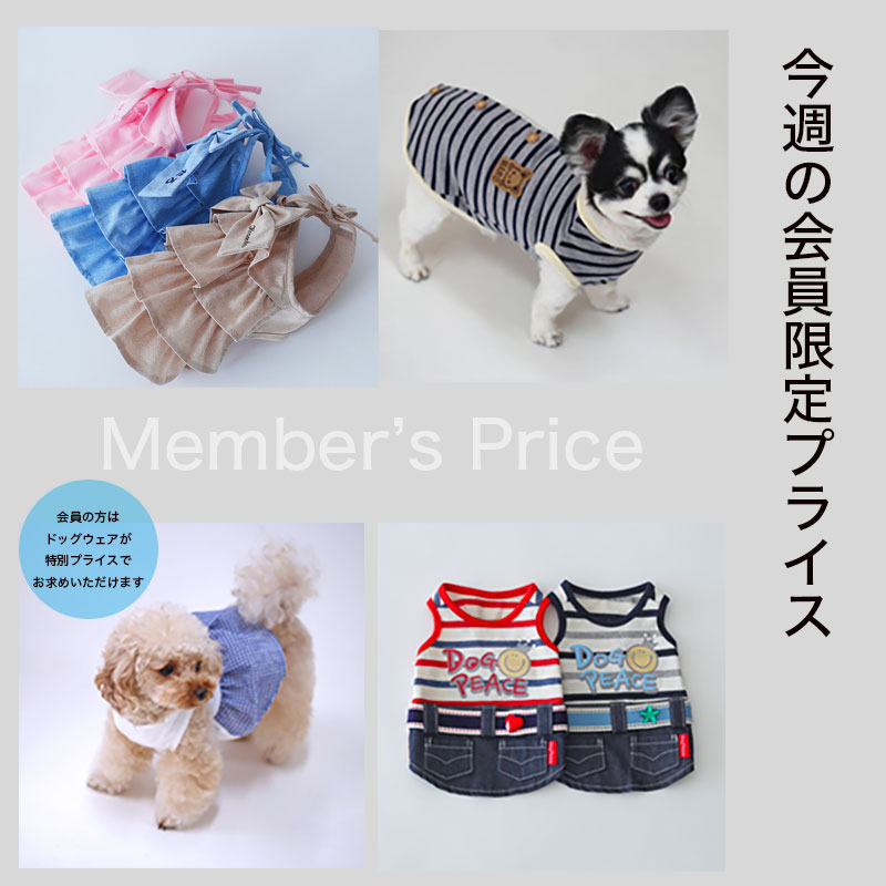 犬服 スイカ柄キャミワンピ DS ハンドメイド