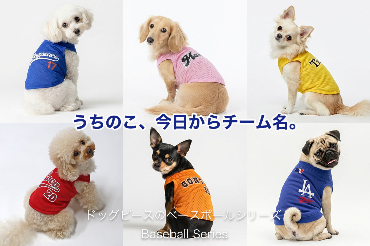 ベースボールSeries