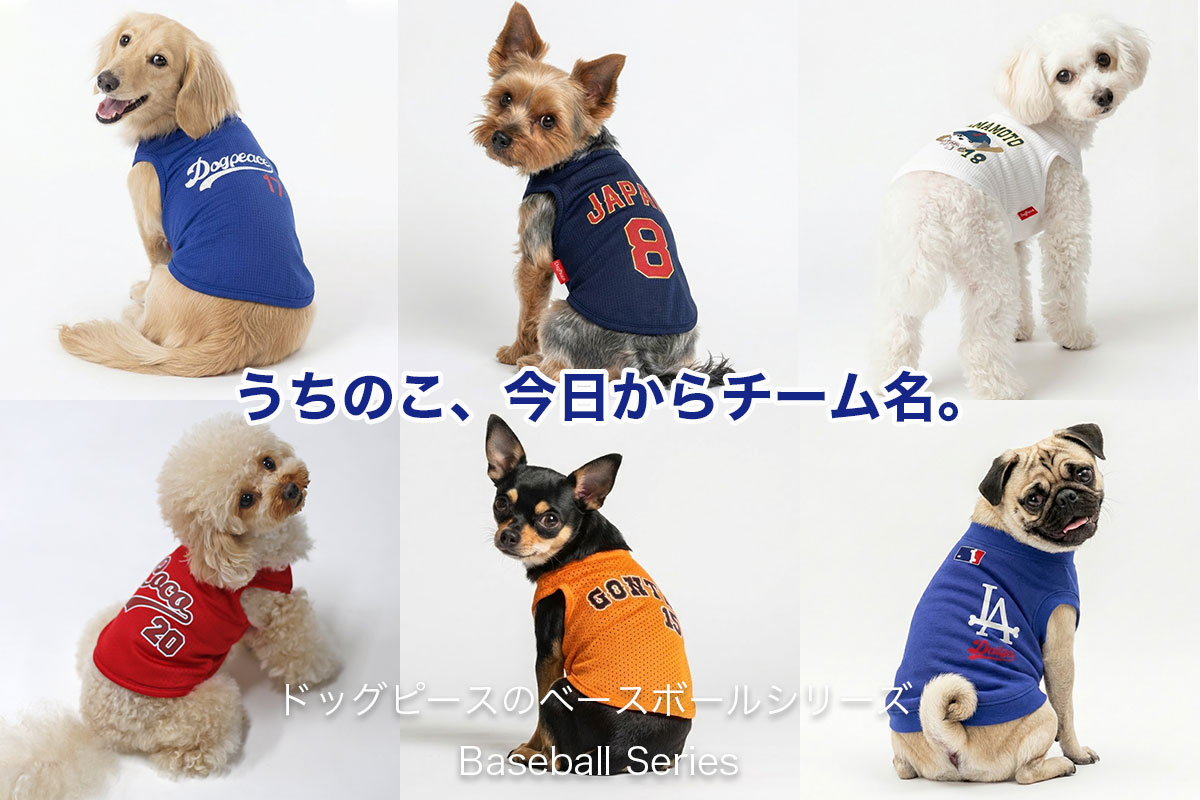 ベースボールSeries