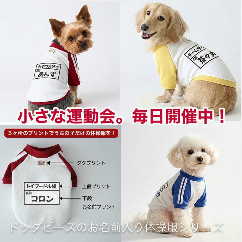 体操服シリーズ