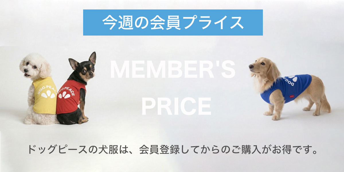 会員限定プライス