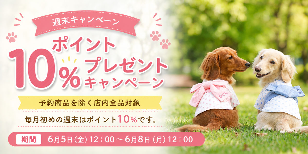 ポイント10