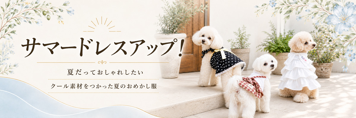 夏のおめかし服