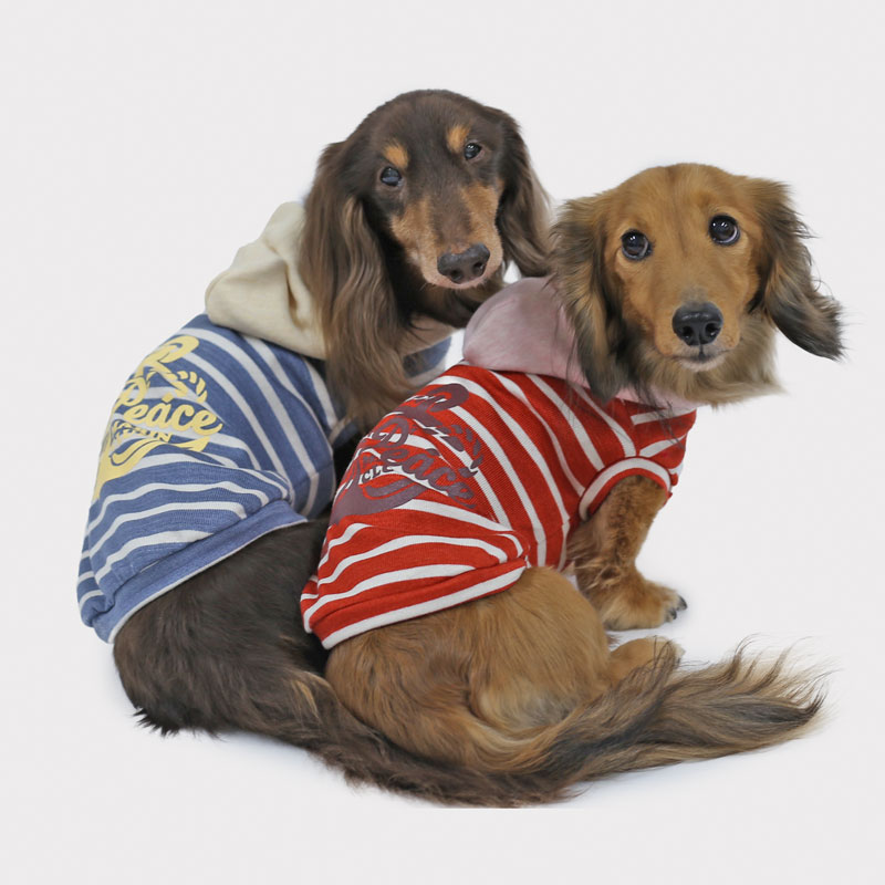 犬服コーデ