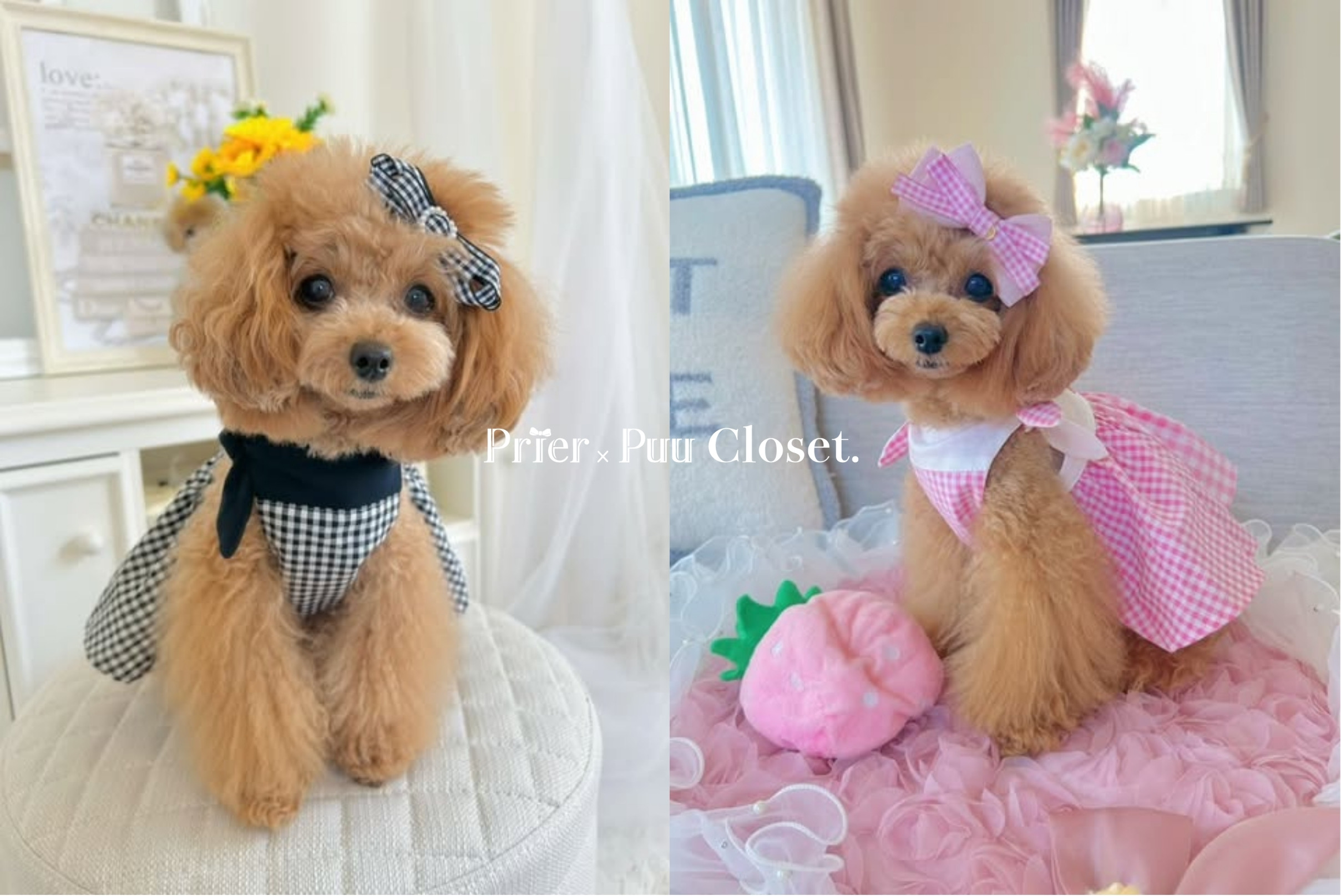 Prie×Puu Closet
