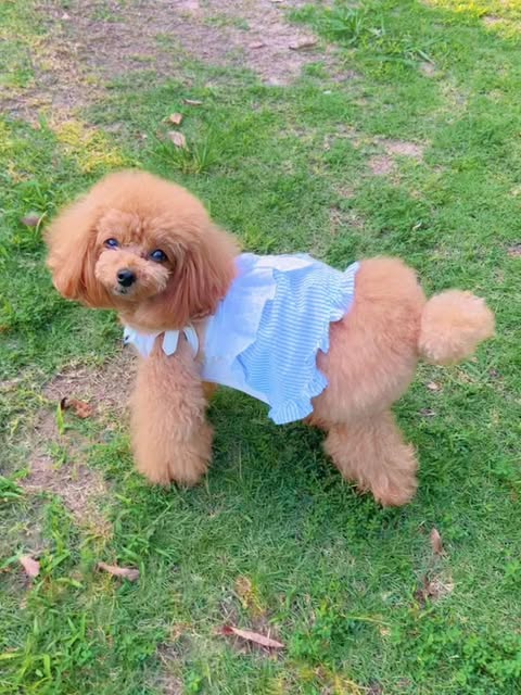 Prie×Puu Closet