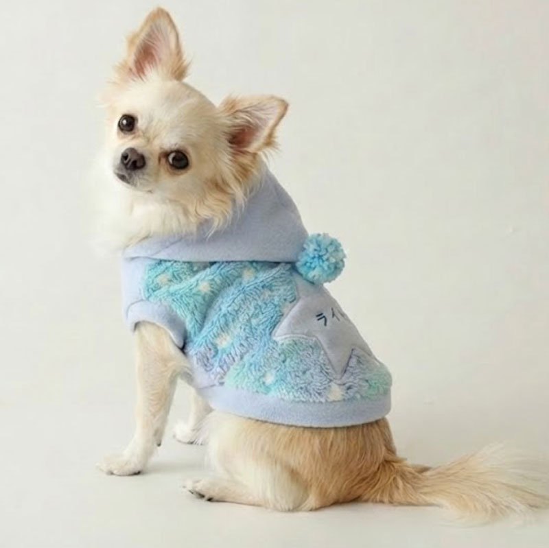 みんなの犬服コーデ】お名前：ルイーゼ｜服の種類：ワンピース｜サイズ