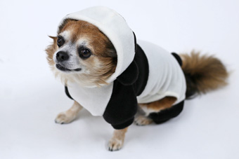 フリース着ぐるみパンダカバーオール | 犬服通販ドッグピース