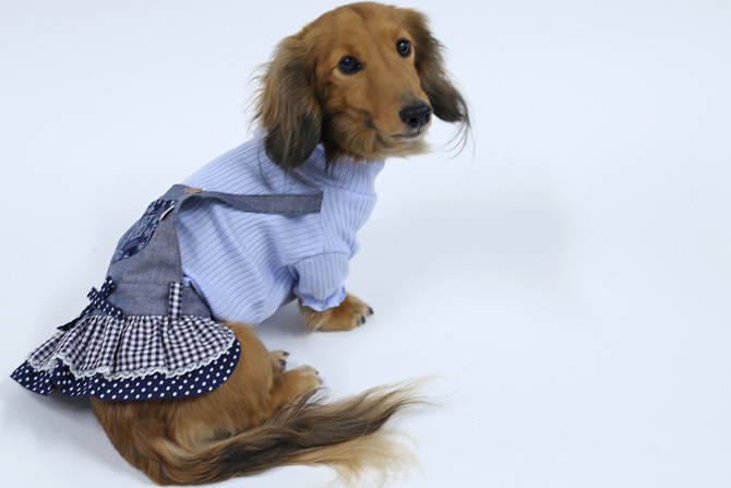 リブニットカットソーwithサロペットスカート 犬服通販のドッグピース