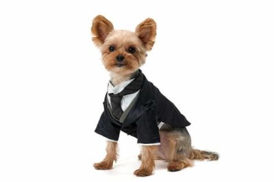 商品一覧 犬服通販のドッグピース 商品一覧 犬服通販のドッグピース