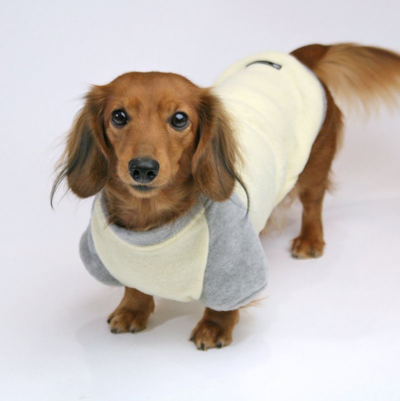 犬服ハンドメイド.ラグラン 犬服 ラグラン(M) ꒡̈⃝Lily꒡̈⃝