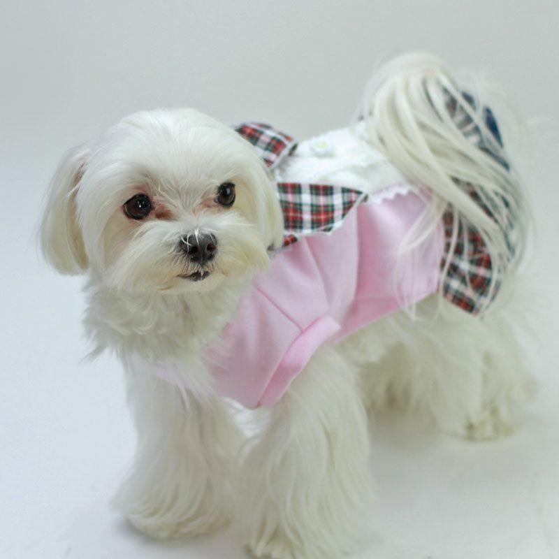 カット版・小型犬服型紙】 バックレースチュニック | 犬服通販