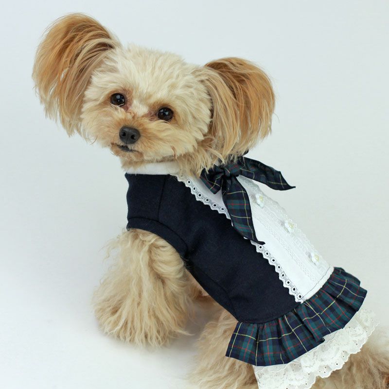 カット版・小型犬服型紙】 バックレースチュニック | 犬服通販 カット版・小型犬服型紙】 バックレースチュニック | 犬服通販