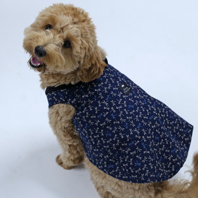 フィールサーモプラス ぽかぱか半纏 （とんぼ） | 犬服通販