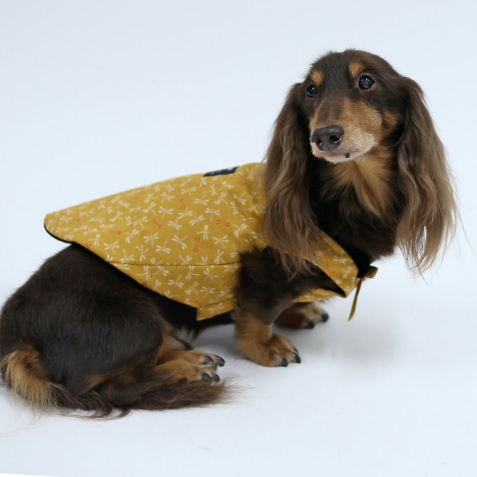 半纏と犬服 楽天市場】犬 半纏の通販