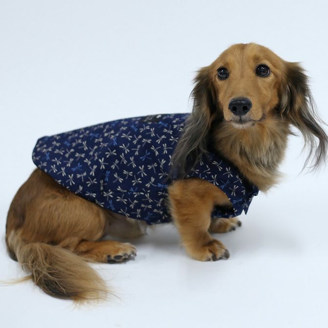 フィールサーモプラス ぽかぱか半纏 （とんぼ） | 犬服通販