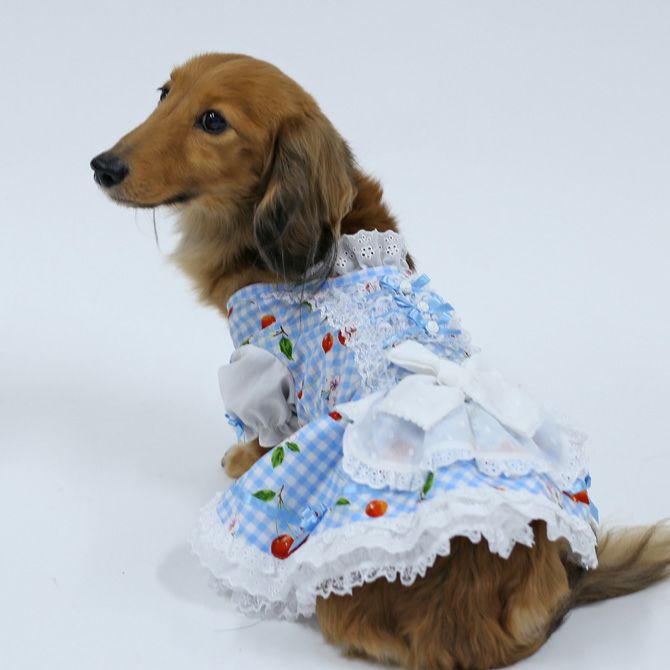 セール！Atelier Rosea アトリエロゼアのエプロン　犬服 Atelier Rosea アトリエロゼア のエプロン 犬服（楽天市場
