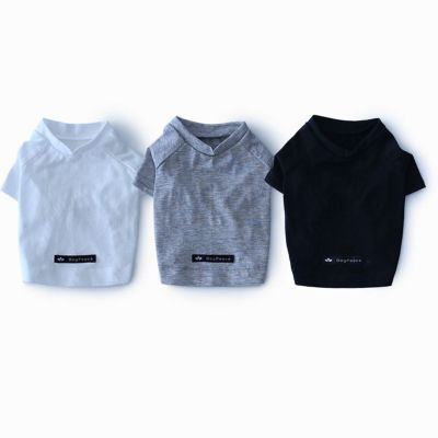 インナーラグランＴシャツ