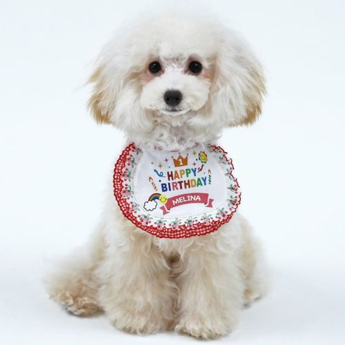 お名前プリント]ハッピーバースデイ・ビブ（スタイ）・チェックフリル