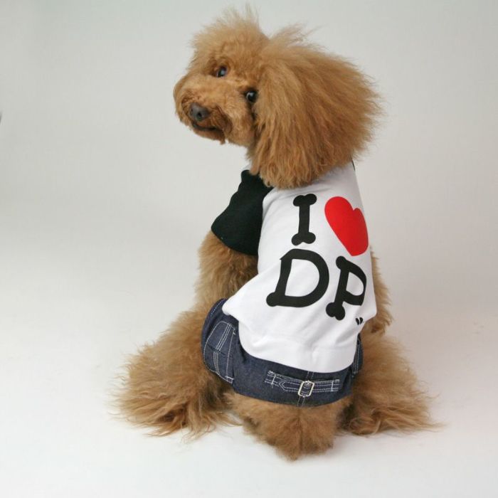 クールMAX I LOVE DPラグランTシャツ | 犬服通販ドッグピース