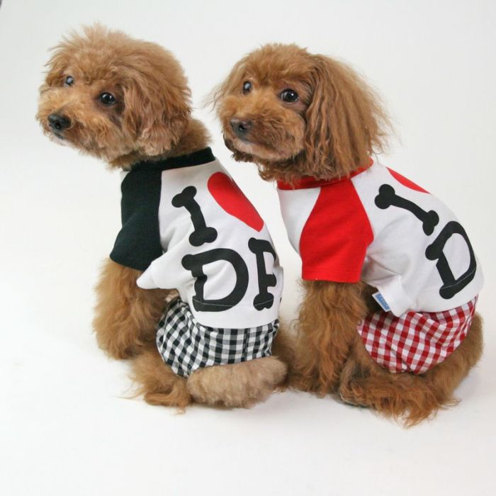 クールMAX I LOVE DPラグランTシャツ | 犬服通販ドッグピース