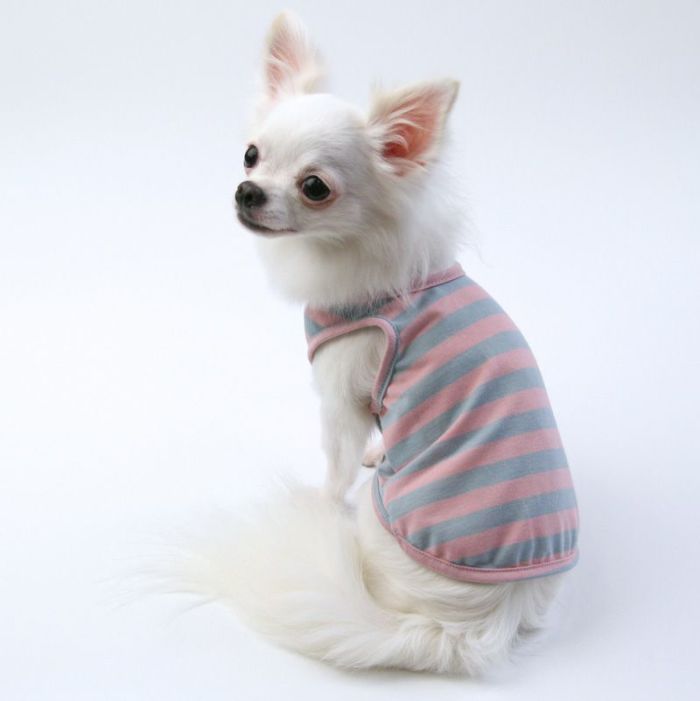 ®️／k子犬服　ハンドメイド完成品S☆タンクフード ダウンロード版】SMILE犬服型紙タンクトップパーカー(Sサイズ