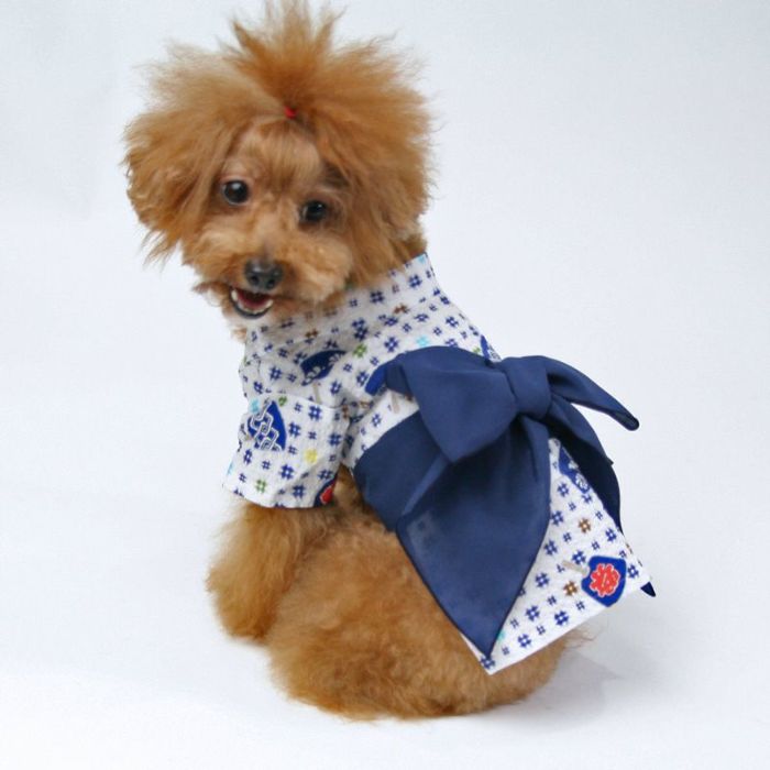 【H.Aページ】ハンドメイド　犬服　浴衣　小型犬 ペットパラダイス 浴衣 《日本画風 犬刺繍》 小型犬 / PET