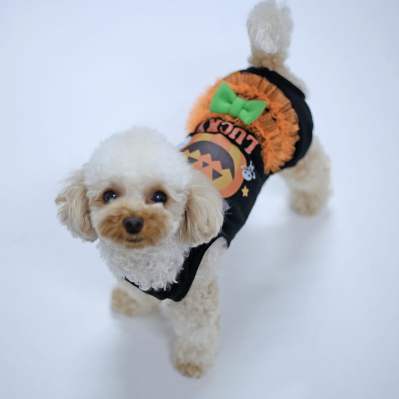 予約限定ウェア]ハッピーハロウィン・パンプキンロンパース | 犬服通販