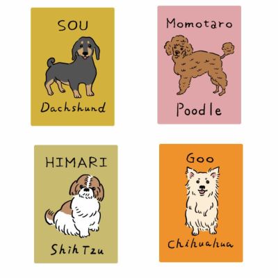 プリントワークス・アイロンシート旧 | 犬服通販ドッグピース