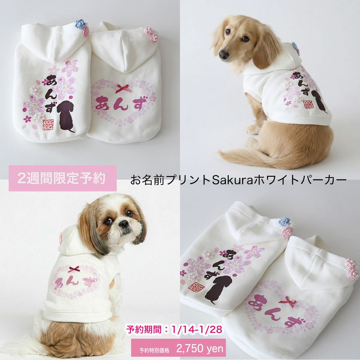 予約限定ウェア]お名前プリントSakuraホワイトパーカー | 犬服通販