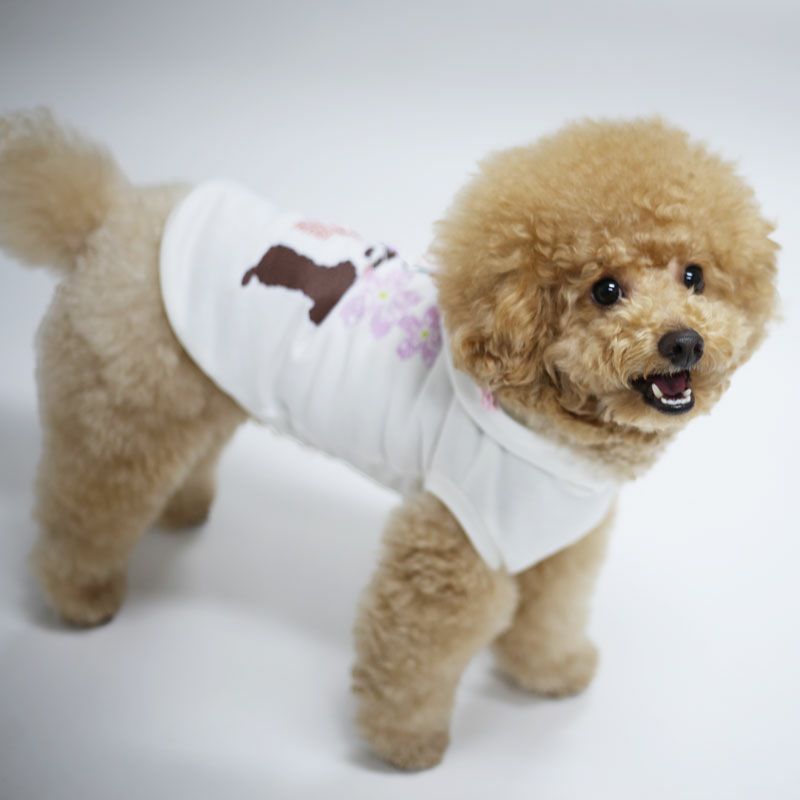 予約限定ウェア]お名前プリントSakuraホワイトパーカー | 犬服通販
