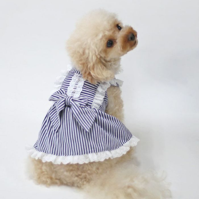 犬服 ワンピース M ハンドメイド｜Yahoo!フリマ（旧PayPayフリマ）