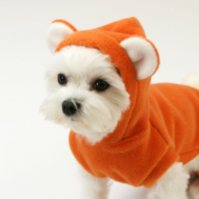犬服M ハンドメイドドッグウェア　小型犬　タンクトップパーカー md86253.jpg