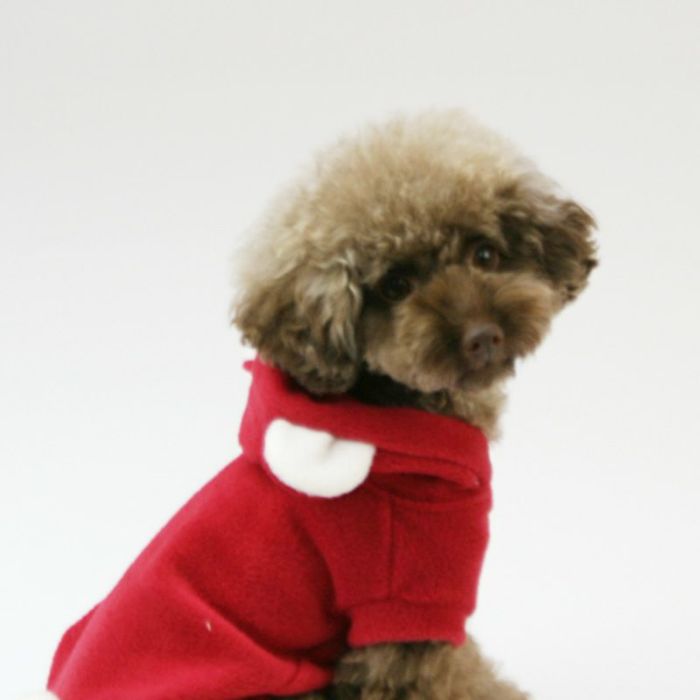 shu様❤️くま耳フード♡ハンドメイド♡犬服♡ ひーじょう様