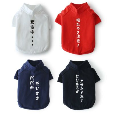 おしゃべりスタイル・ひとことメッセージ・ラグランTシャツ