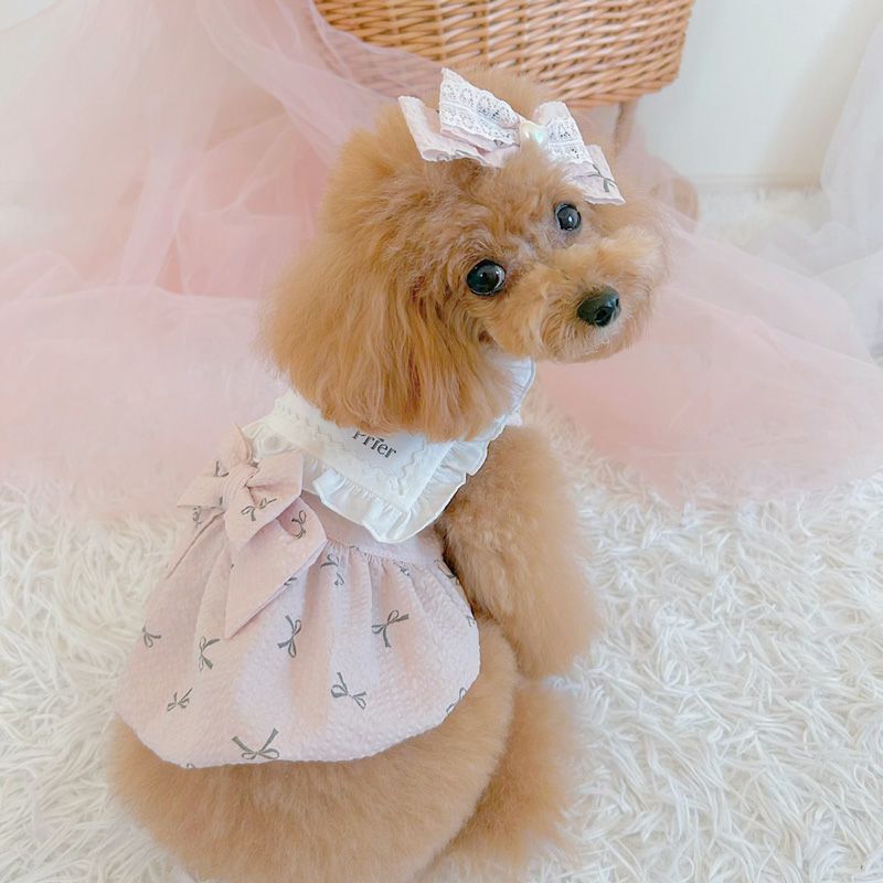 Prier×Puu Closet｜小さな女の子のわんちゃんのためのお洋服屋さん。