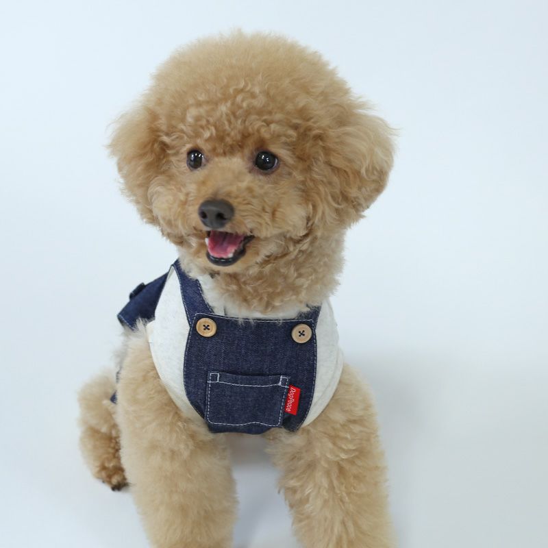 予約限定ウェア]お名前刺繍・岡山デニムリアルカバーオール | 犬服通販